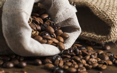 Conoce las 5 principales variedades de café en México